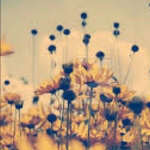 Meet your Posher, Aubree